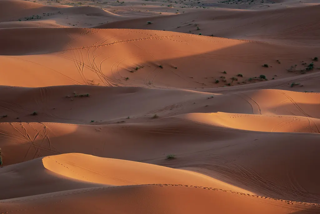 كثبان رملية في مرزوكة بالمغرب، ضمن الصحراء الكبرى